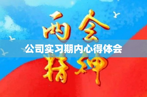 公司实习期内心得体会