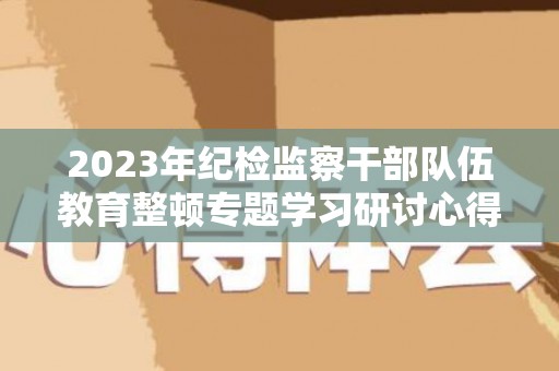 2023年纪检监察干部队伍教育整顿专题学习研讨心得体会两篇（加强纪检监察干部队伍建设心得体会）