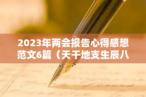 2023年两会报告心得感想范文6篇（天干地支生辰八字查询表）