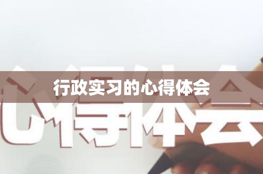 行政实习的心得体会