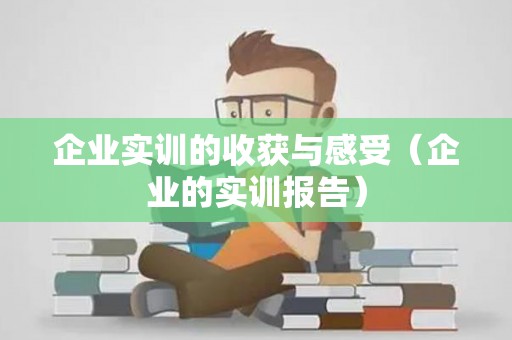 企业实训的收获与感受（企业的实训报告）