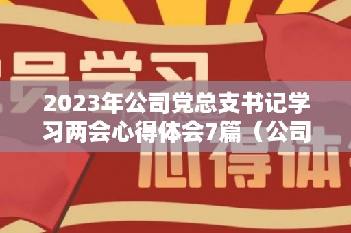 2023年公司党总支书记学习两会心得体会7篇（公司党总支书记发言稿怎么写）