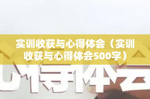 实训收获与心得体会（实训收获与心得体会500字）