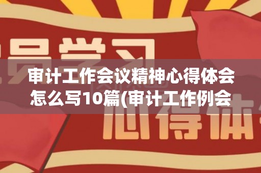 审计工作会议精神心得体会怎么写10篇(审计工作例会发言稿)