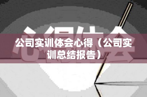 公司实训体会心得（公司实训总结报告）