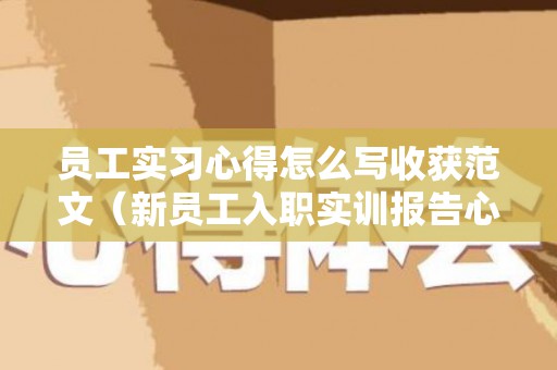 员工实习心得怎么写收获范文（新员工入职实训报告心得）