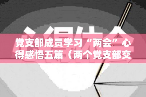 党支部成员学习“两会”心得感悟五篇（两个党支部交流座谈会）