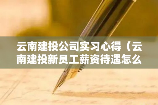 云南建投公司实习心得（云南建投新员工薪资待遇怎么样）