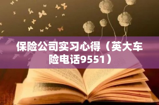 保险公司实习心得（英大车险电话9551）