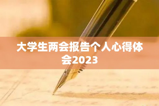 大学生两会报告个人心得体会2023