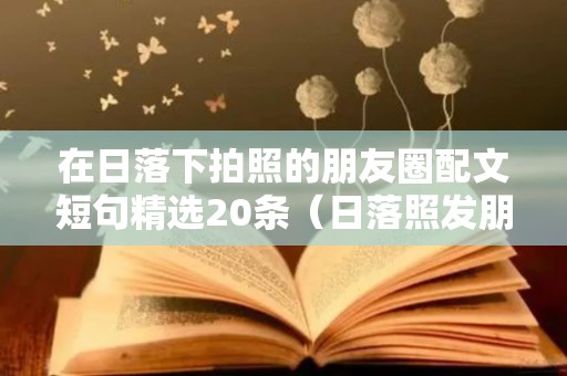 在日落下拍照的朋友圈配文短句精选20条（日落照发朋友圈怎么说）