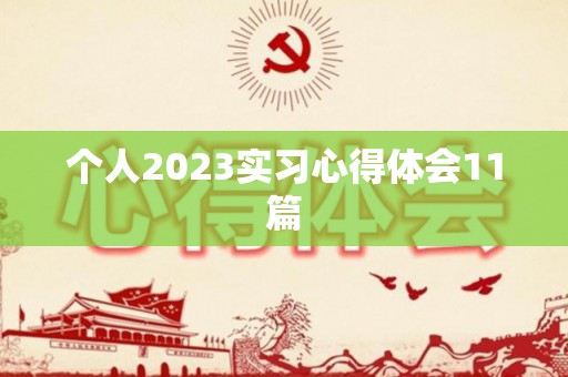个人2023实习心得体会11篇