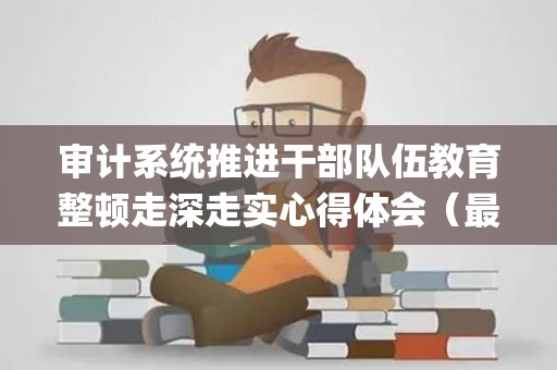 审计系统推进干部队伍教育整顿走深走实心得体会（最新4篇）(提升审计工作)