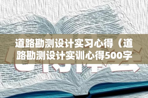 道路勘测设计实习心得（道路勘测设计实训心得500字怎么写）