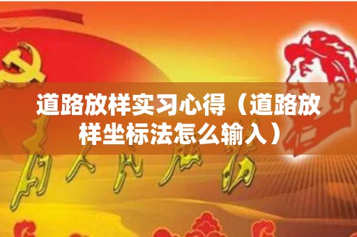 道路放样实习心得（道路放样坐标法怎么输入）