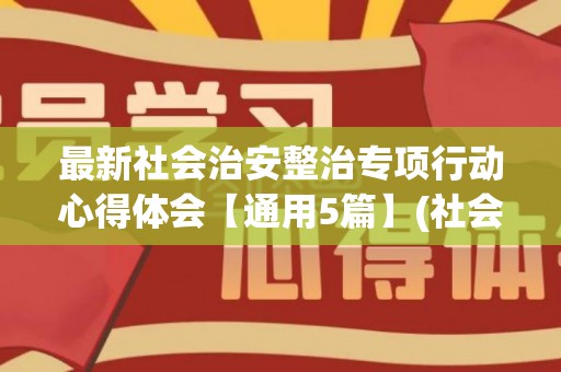 最新社会治安整治专项行动心得体会【通用5篇】(社会治安领域专项整治存在的问题有哪些)