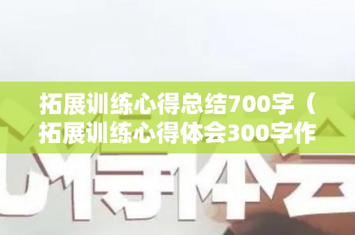 拓展训练心得总结700字（拓展训练心得体会300字作文）