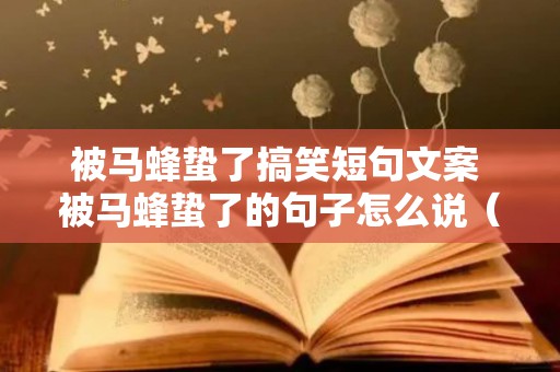 被马蜂蛰了搞笑短句文案 被马蜂蛰了的句子怎么说（被马蜂蛰了搞笑视频）