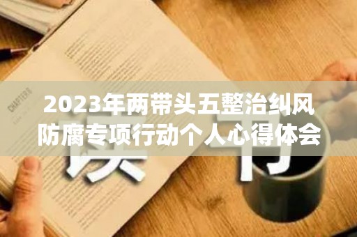 2023年两带头五整治纠风防腐专项行动个人心得体会精选6篇(两风整治工作总结)