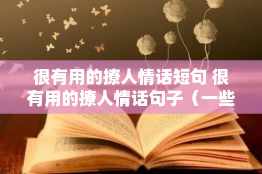 很有用的撩人情话短句 很有用的撩人情话句子（一些撩人情话）