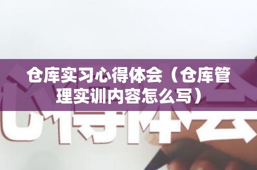 仓库实习心得体会（仓库管理实训内容怎么写）