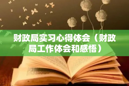 财政局实习心得体会（财政局工作体会和感悟）
