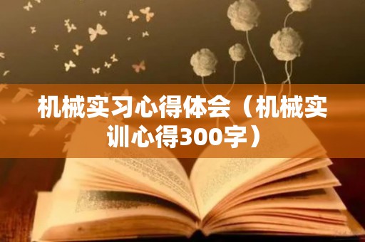 机械实习心得体会（机械实训心得300字）