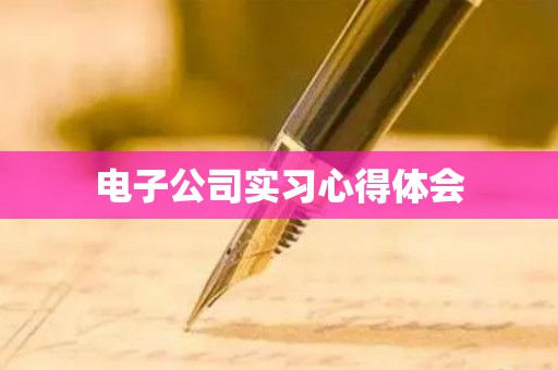 电子公司实习心得体会