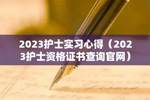 2023护士实习心得（2023护士资格证书查询官网）
