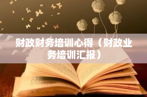 财政财务培训心得（财政业务培训汇报）