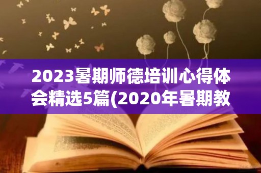 2023暑期师德培训心得体会精选5篇(2020年暑期教师师德师风培训会心得体会)