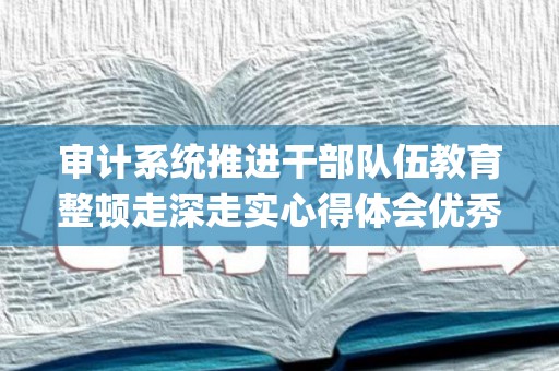 审计系统推进干部队伍教育整顿走深走实心得体会优秀4篇(扎实推进审计问题整改)