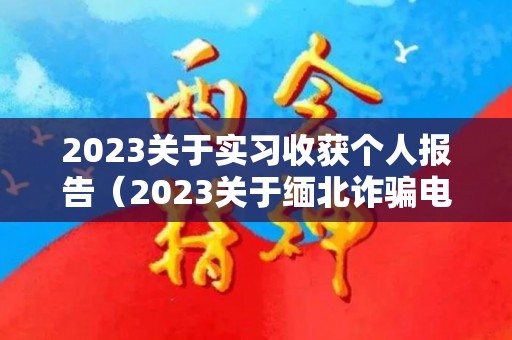 2023关于实习收获个人报告（2023关于缅北诈骗电视剧）