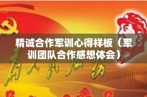 精诚合作军训心得样板（军训团队合作感想体会）