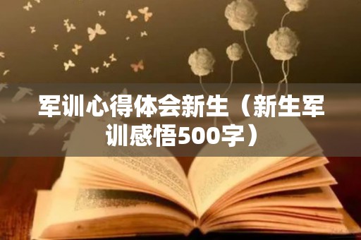 军训心得体会新生（新生军训感悟500字）