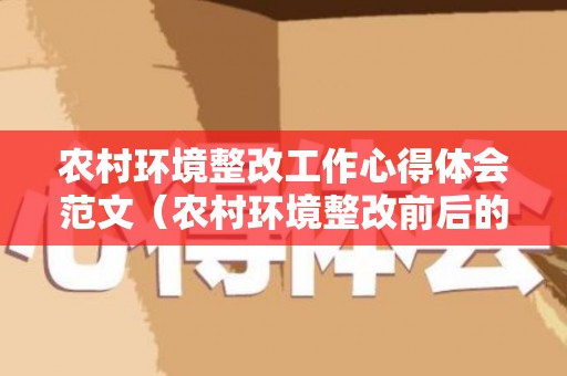 农村环境整改工作心得体会范文（农村环境整改前后的照片）