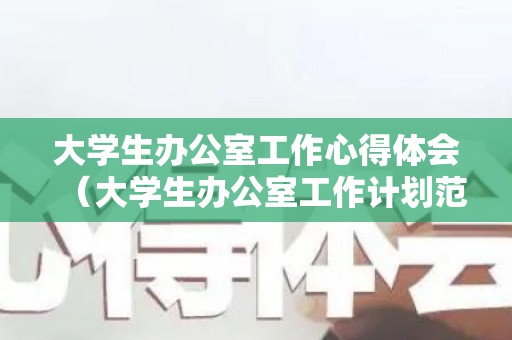 大学生办公室工作心得体会（大学生办公室工作计划范文怎么写）