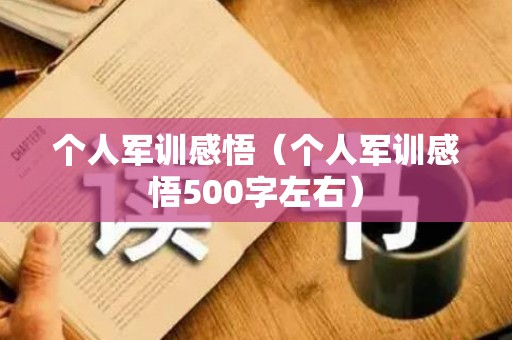 个人军训感悟（个人军训感悟500字左右）