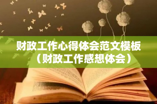 财政工作心得体会范文模板（财政工作感想体会）