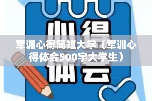 军训心得简短大学（军训心得体会500字大学生）