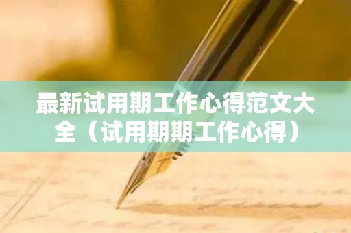 最新试用期工作心得范文大全（试用期期工作心得）