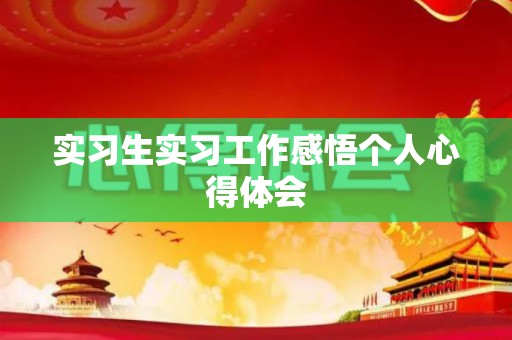 实习生实习工作感悟个人心得体会