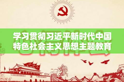学习贯彻习近平新时代中国特色社会主义思想主题教育心得体会