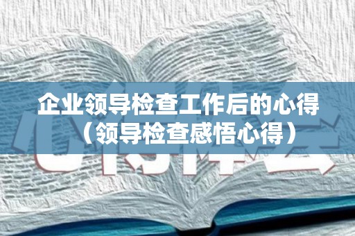 企业领导检查工作后的心得（领导检查感悟心得）