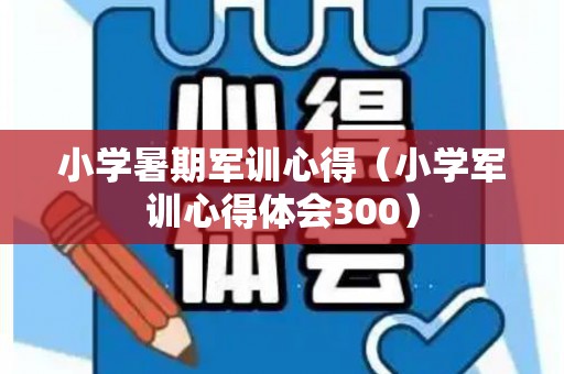 小学暑期军训心得（小学军训心得体会300）