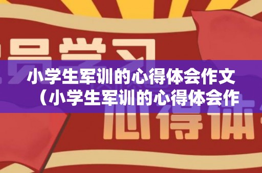 小学生军训的心得体会作文（小学生军训的心得体会作文300字）