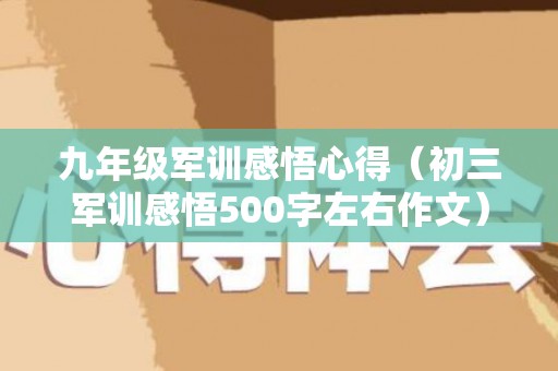 九年级军训感悟心得（初三军训感悟500字左右作文）