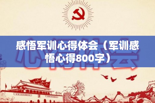 感悟军训心得体会（军训感悟心得800字）