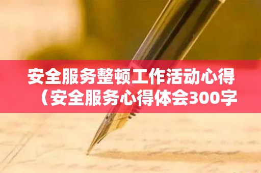安全服务整顿工作活动心得（安全服务心得体会300字）