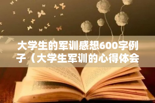 大学生的军训感想600字例子（大学生军训的心得体会500字）